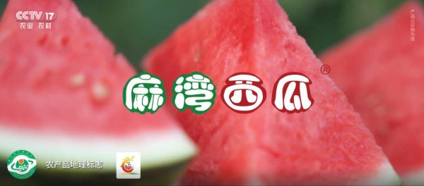 地理标志广告——麻湾西瓜央视广告案例