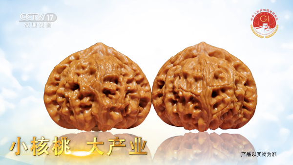 地理标志产品——“涞水麻核桃”品牌形象广告投放央视