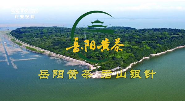 又 双 叒 一地标品牌登陆央视